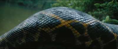 And we're gonna get inside. - Anaconda