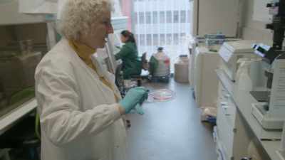 And we're gonna have a look
under the microscope - Toxic Beauty