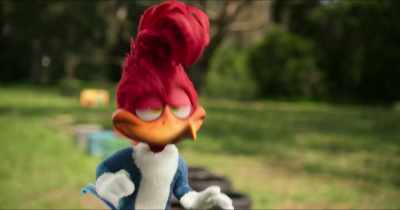 And we're gonna train
like nobody's watching. - Woody Woodpecker Goes to Camp