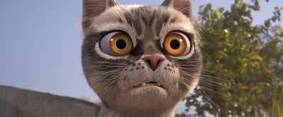 And we're not just
talking flatulence. - Gracie & Pedro: Pets to the Rescue