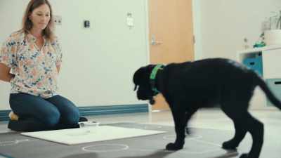 And so we've been tracking
how their cognition starts to emerge. - Inside the Mind of a Dog