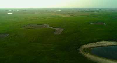 And we've interspersed
that monoculture - The Pollinators