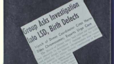 And what about the mainstream
news warnings - The Way of the Psychonaut