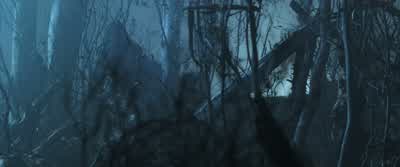 What are they? - The Dark Tower