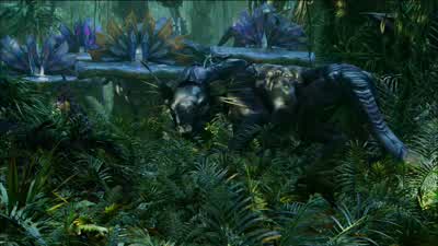And what do I do with this? - Avatar