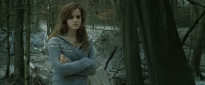 And what exactly did I say, may I ask?- My name. - Harry Potter and the Deathly Hallows: Part 1