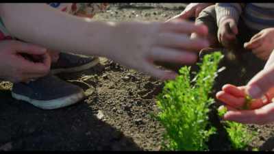 And what is it that we can do today - Kiss the Ground