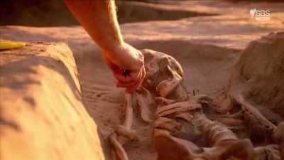 And what Jozsef has discovered
is shocking. - Curse of the Ancients with Alice Roberts