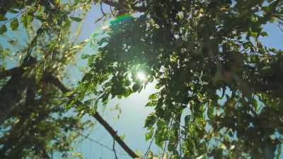 "And what you might think
is a patch of shade - Write Around the World with Richard E Grant