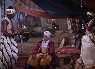 - And what of this troublesome rogue - The Desert Hawk