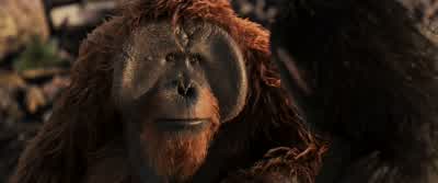 And what... - War for the Planet of the Apes
