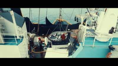 And what they're catching
is worth huge, huge amounts, - Seaspiracy