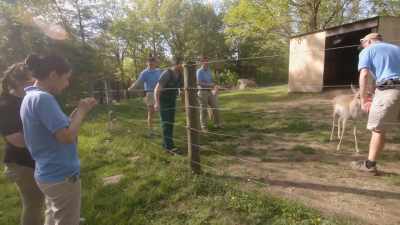 And what we're
hoping to find out - Secrets of the Zoo