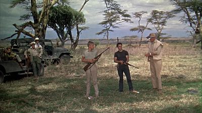 And you What is your name anyway - Hatari!