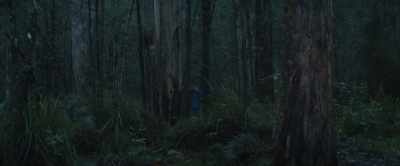 -And whatever happened
between them out there, - Force of Nature: The Dry 2