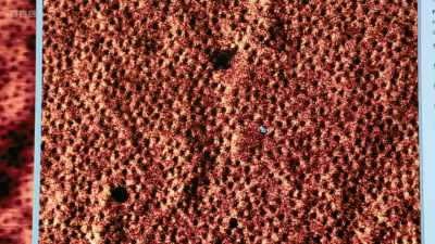 And what's interesting is that - Secrets of Size: Atoms to Supergalaxies