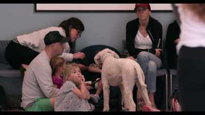 And when, your child with a disability
comes home, - Dogs
