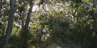 And when we go to special places
like this, - Revealed: How to Poison a Planet