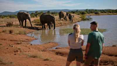 And when we graduated, we
planned on traveling the world, - A Safari Romance