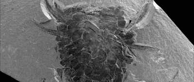 And when we look at the fossil record, - Is Genesis History?