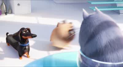 And when that random cat tried to eat Sweetpeawho saved himIt wasn't a random cat It was youThe identity of the random cat is not the pointWe're talking about who saved himMax did - The Secret Life of Pets