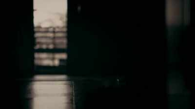 AND WHEN SHE LOOKED BACK,
HE WAS GONE. - Expedition Mungo