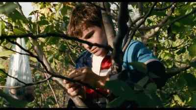 And where was the gold medal? - Lost Country