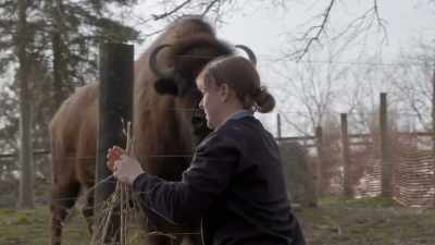 And while we don't have
any plans for him, - Secrets of the Zoo