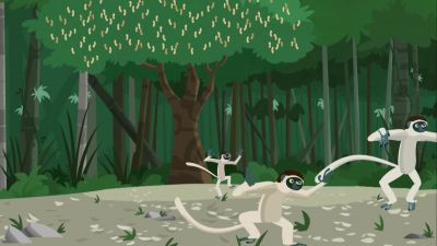 And why are the lemurs
so freaked out down here? - Wild Kratts