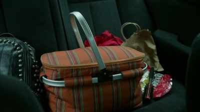 And why did you pack a picnic basket - This Fool