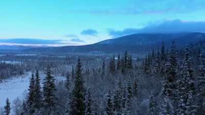 And so why would I waste the
resources when I could just - Life Below Zero: Next Generation