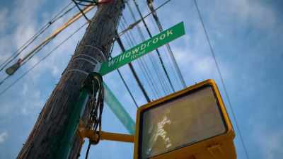 And Willowbrook specifically - New York Homicide