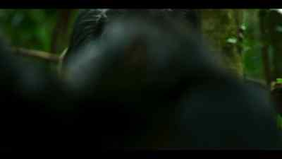 And with an alpha like Jackson, - Chimp Empire