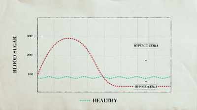 And with an hour or
an hour and a half, - The Diabetes Solution