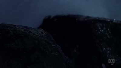 And with nests
several hundred metres inland... - David Attenborough's Tasmania