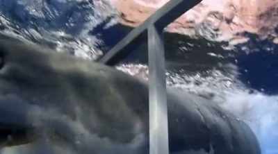 And without a reverse gear, - Shark Attack Files