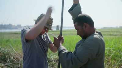 And this work is backed
up by studies on mud cores - Ancient Armageddon