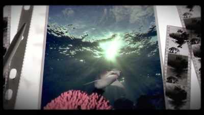 And it worked. It worked. - Playing with Sharks