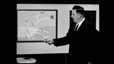 And that worked out
as a bit of a compromise. - I, Pastafari: A Flying Spaghetti Monster Story