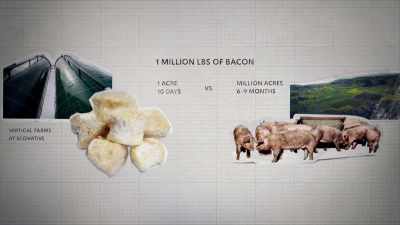 - And you would also need - A Brief History of the Future