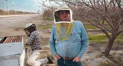 And it would be terrible
to think that they were doing - The Pollinators