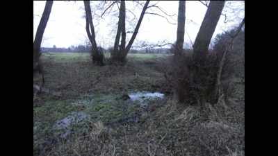 And it would explain how
both men got wet around 4:00 - Truth Hunter