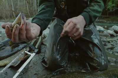 And that would have information
on the fish. - Artifishal