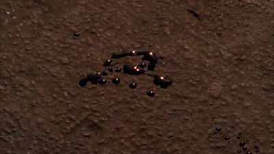 And his wound - CSI: Miami