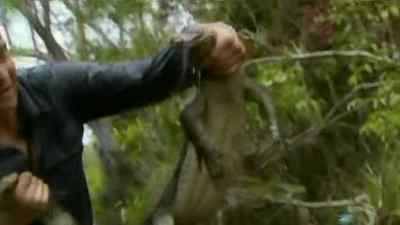 AND, YEAH, THAT'S HIM...DEAD. - Man vs. Wild