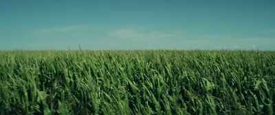 And, yes, ask yourself
that every time - Bomb City