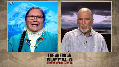 And yes, they
want to come back, - The American Buffalo
