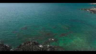 And yet, they can also reach - Our Oceans