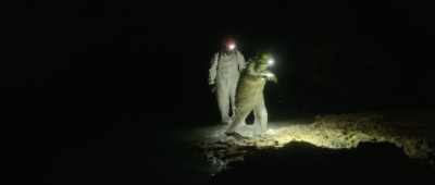 And yet, some life forms survive, - Alien Worlds