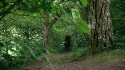And if you are, - The White Princess